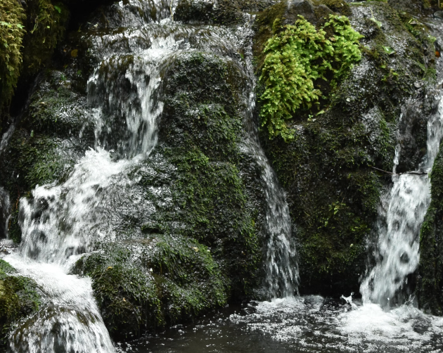 natural source of spring water