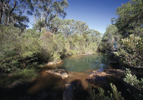 Campbelltown Spring Water Delivery Service